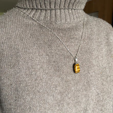 Afbeelding in Gallery-weergave laden, Eye of the Tiger Necklace
